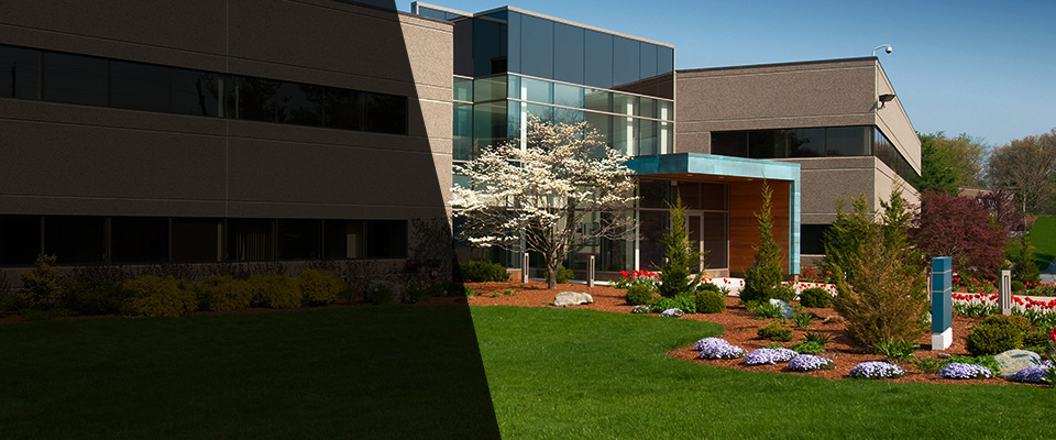 Sidney Landscapers