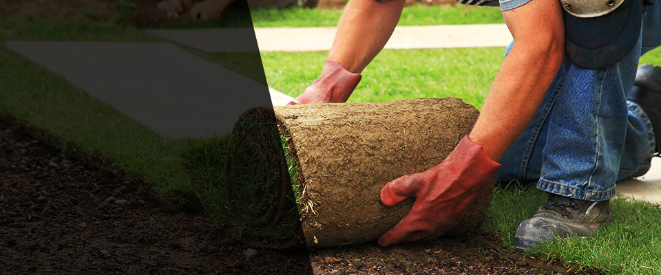 Sidney Landscapers